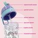 заказать Бутылка детская для воды, полупрозрачная, 420 мл, радуги в интернет магазине Tidivi.shop 3